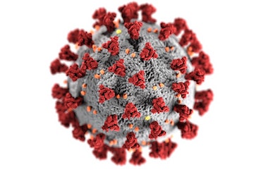 PROCEDURE FOR INSPECTION DURING THE COVID-19 PANDEMIC